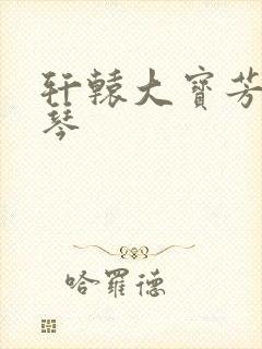 轩辕大宝芳菲雅琴