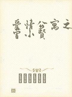 爱情公寓之极品曾小贤