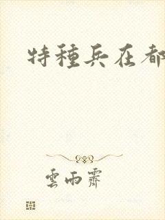 特种兵在都市