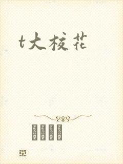 t大校花