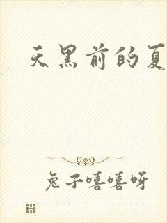 天黑前的夏天