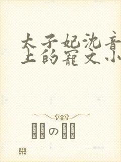 太子妃沈音和皇上的宠文小说