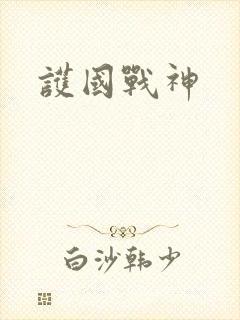 护国战神