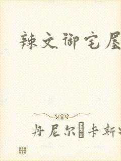 辣文御宅屋