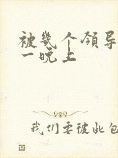 被几个领导玩弄一晚上