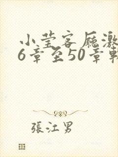 小莹客厅激情46章至50章软件介绍