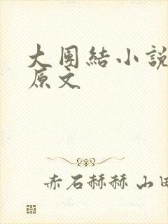 大团结小说阅读原文