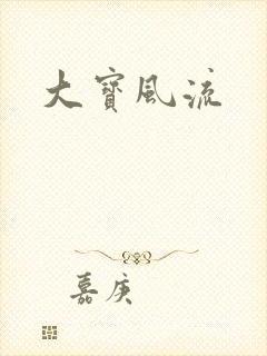 大宝风流