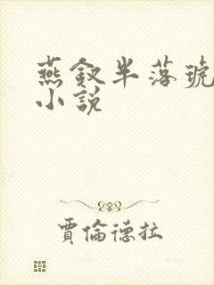 燕钗半落琥珀糖小说