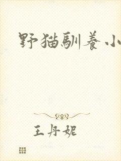 野猫驯养小说