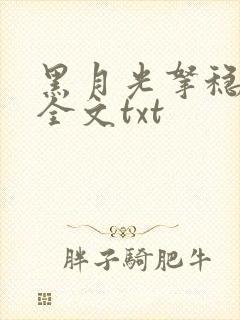 黑月光拿稳小说全文txt