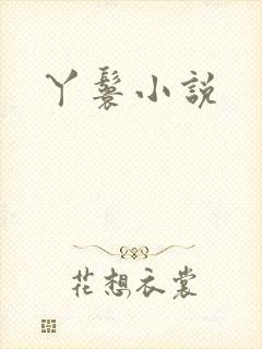 丫鬟小说