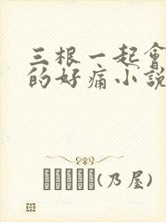 三根一起会坏掉的好痛小说