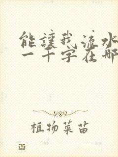 能让我流水水的一千字在哪看