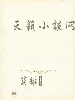 天籁小说网