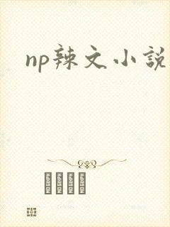 np辣文小说