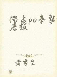 独占po拳击馆老板