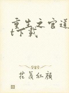 重生之官道txt下载