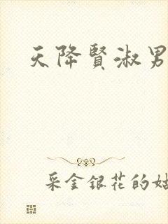 天降贤淑男小说