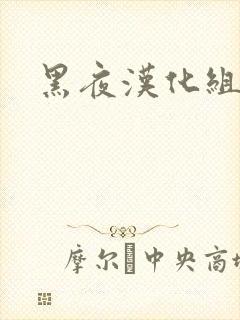 黑夜汉化组