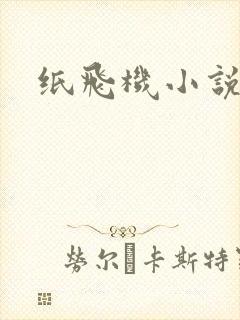 纸飞机小说