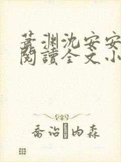 萧渊沈安安免费阅读全文小说