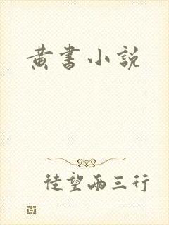 黄书小说