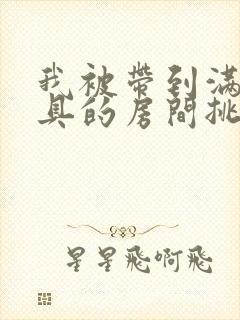 我被带到满是玩具的房间挑调作文