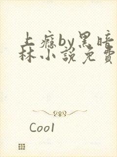 上瘾by黑暗森林小说免费