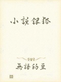 小说银狐