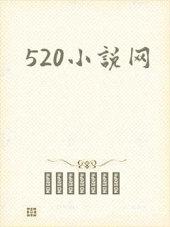 520小说网