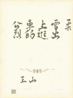 公车上雪柔被猛烈的进出