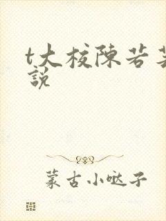 t大校陈若芸小说