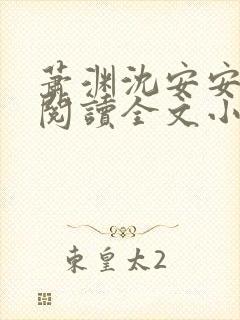 萧渊沈安安免费阅读全文小说