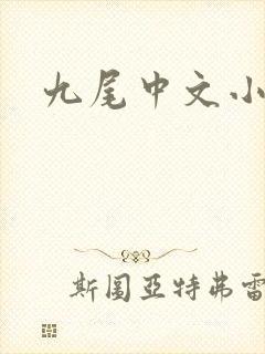 九尾中文小说网