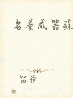 名养成器苏沫沫