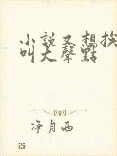 小说又想挨C了叫大声点