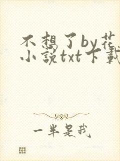 不想了by花卷小说txt下载