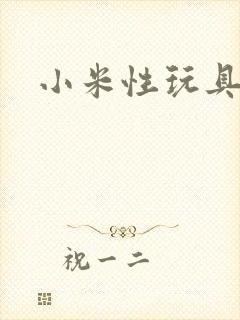 小米性玩具日记