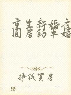 重生新婚夜正在圆房的军婚