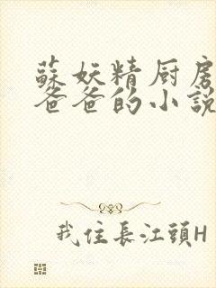 苏妖精厨房爹爹爸爸的小说