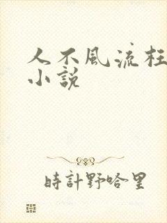 人不风流枉少年小说