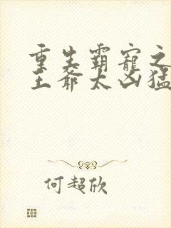 重生霸宠之摄政王爷太凶猛