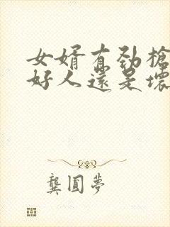 女婿有劲枪枪是好人还是坏人