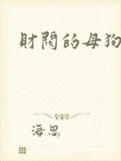 财阀的母狗们
