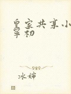 皇家共享小公主宁初