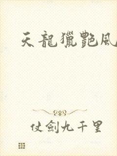 天龙猎艳风流