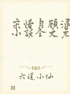 宋惜月顾浔渊的小说全文免费阅读