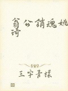 翁公销魂姚瑶琦琦