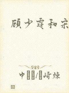 顾少霆和宋斯曼